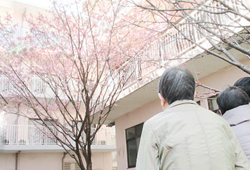 中曽根寮の桜